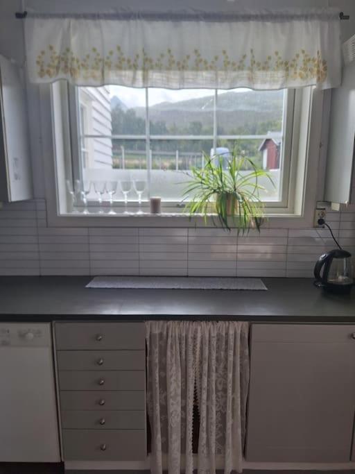 Privat Leilighet Pa Gard Med Badstue Og Nordlys Narvik Extérieur photo